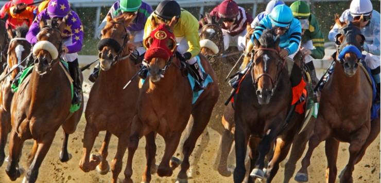 horse thoroughbred racing